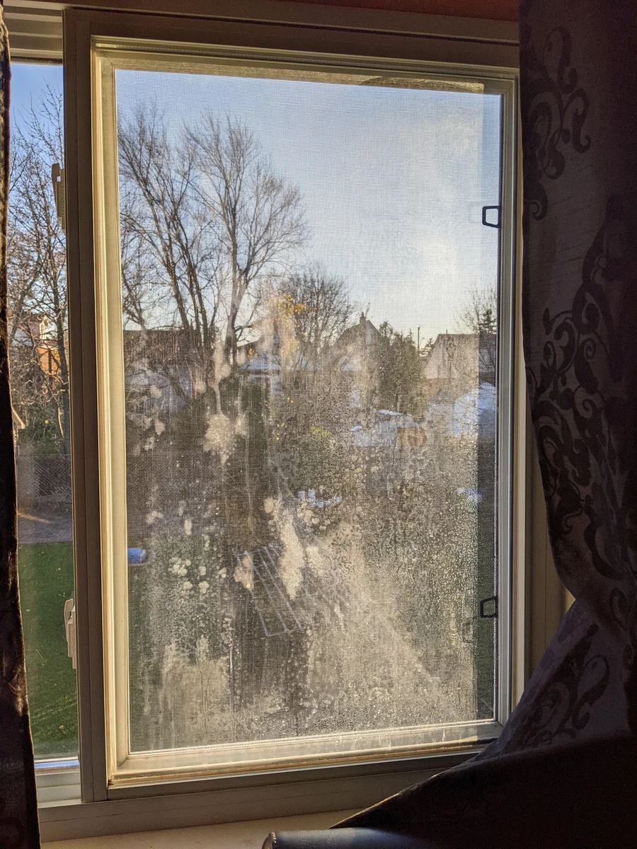 Window glass that stays cloudy and streaked even after being cleaned on both sides