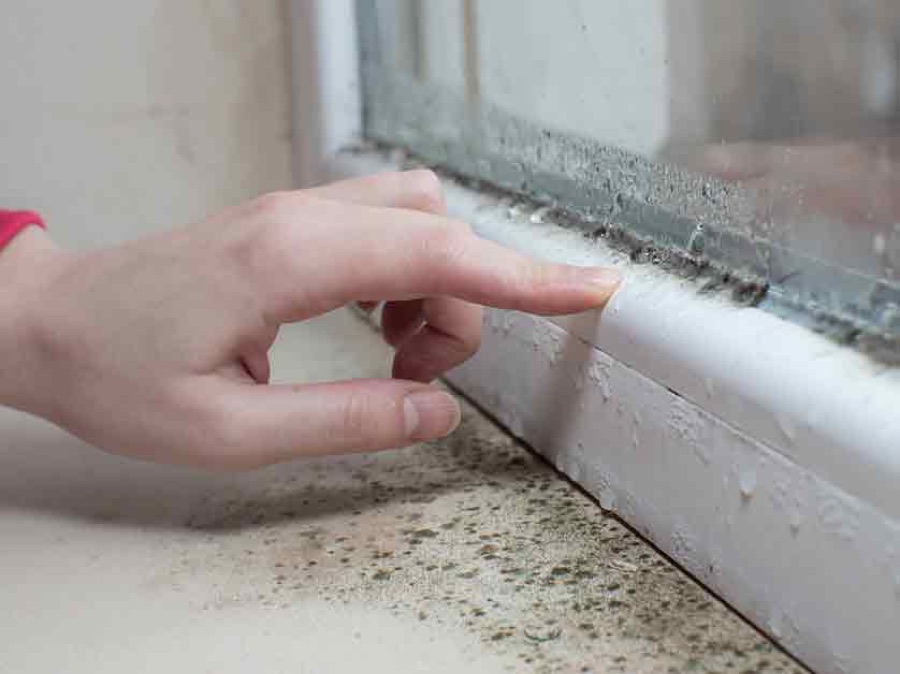 Moisture and mold buildup on a window sill and frame, a sign of water intrusion around the window rather than glass seal failure