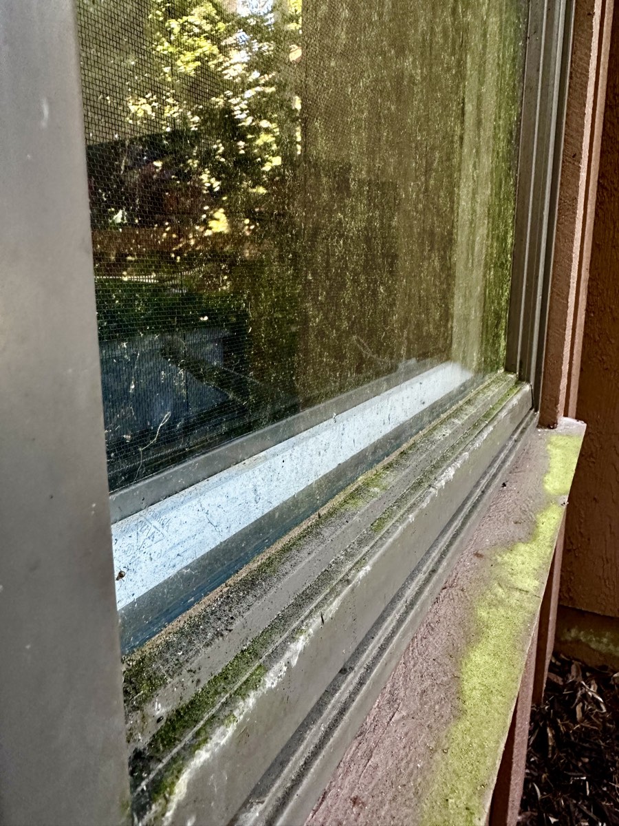 Window screen and sill with visible mold and algae buildup before cleaning