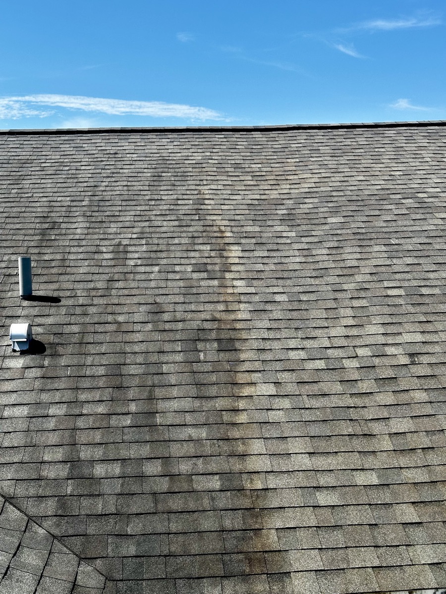 Roof shingles mid-cleaning, showing algae streaking on one side and clean shingles on the other
