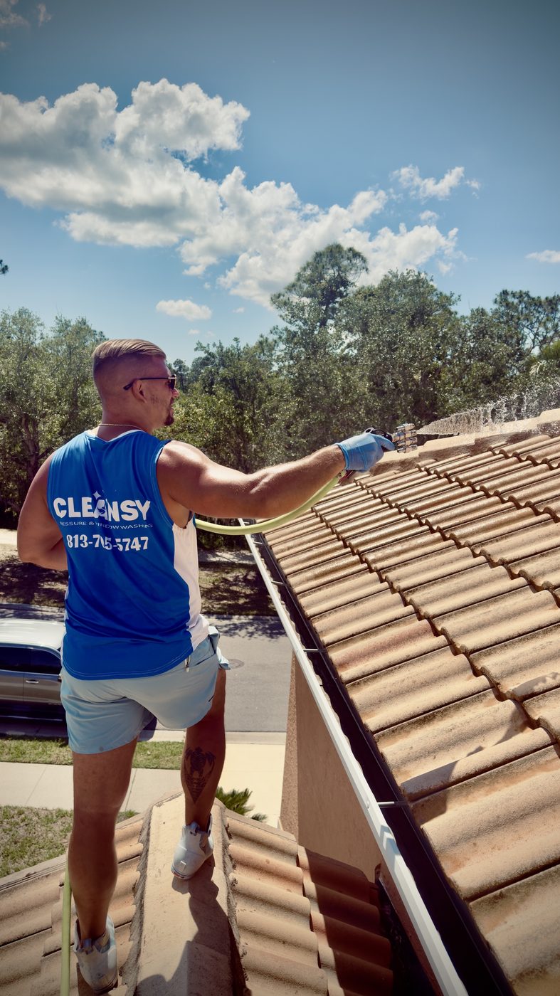 Cleansy technician spraying a roof and gutter during a soft washing job