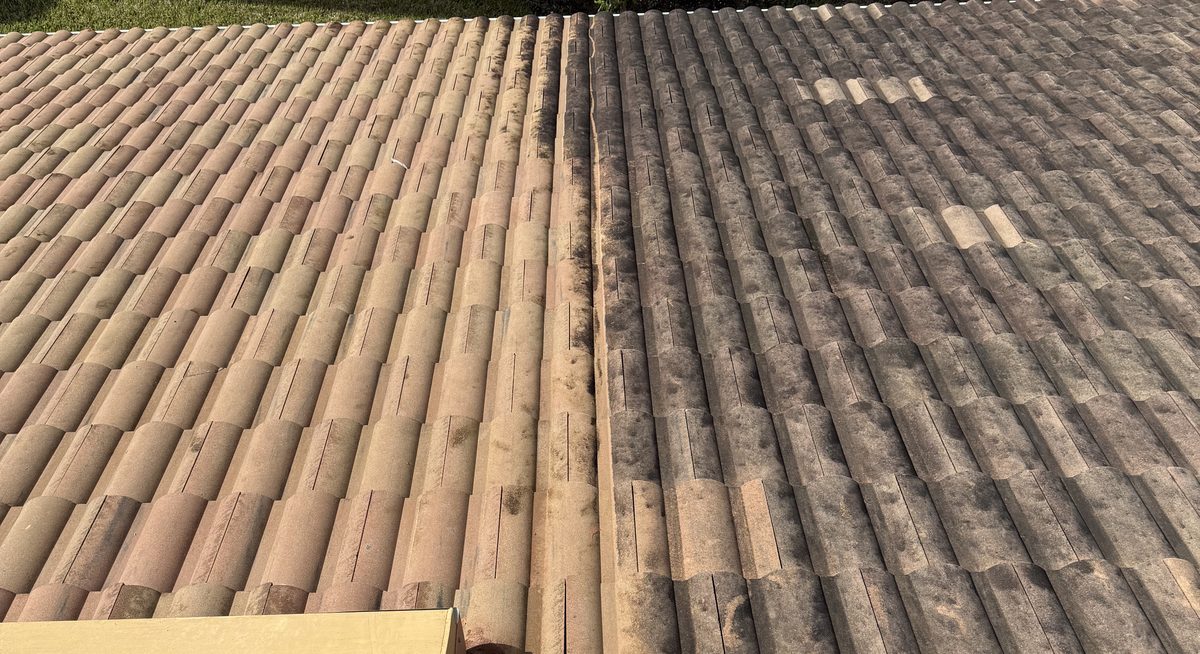 Tile roof split down the middle, one half covered in black algae streaks and the other half cleaned back to its natural terracotta color