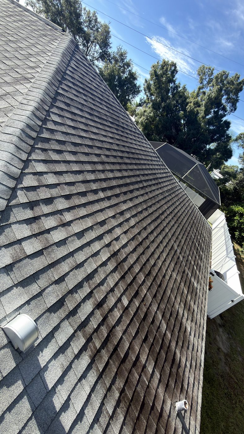 Asphalt shingle roof before soft washing with heavy algae streaking