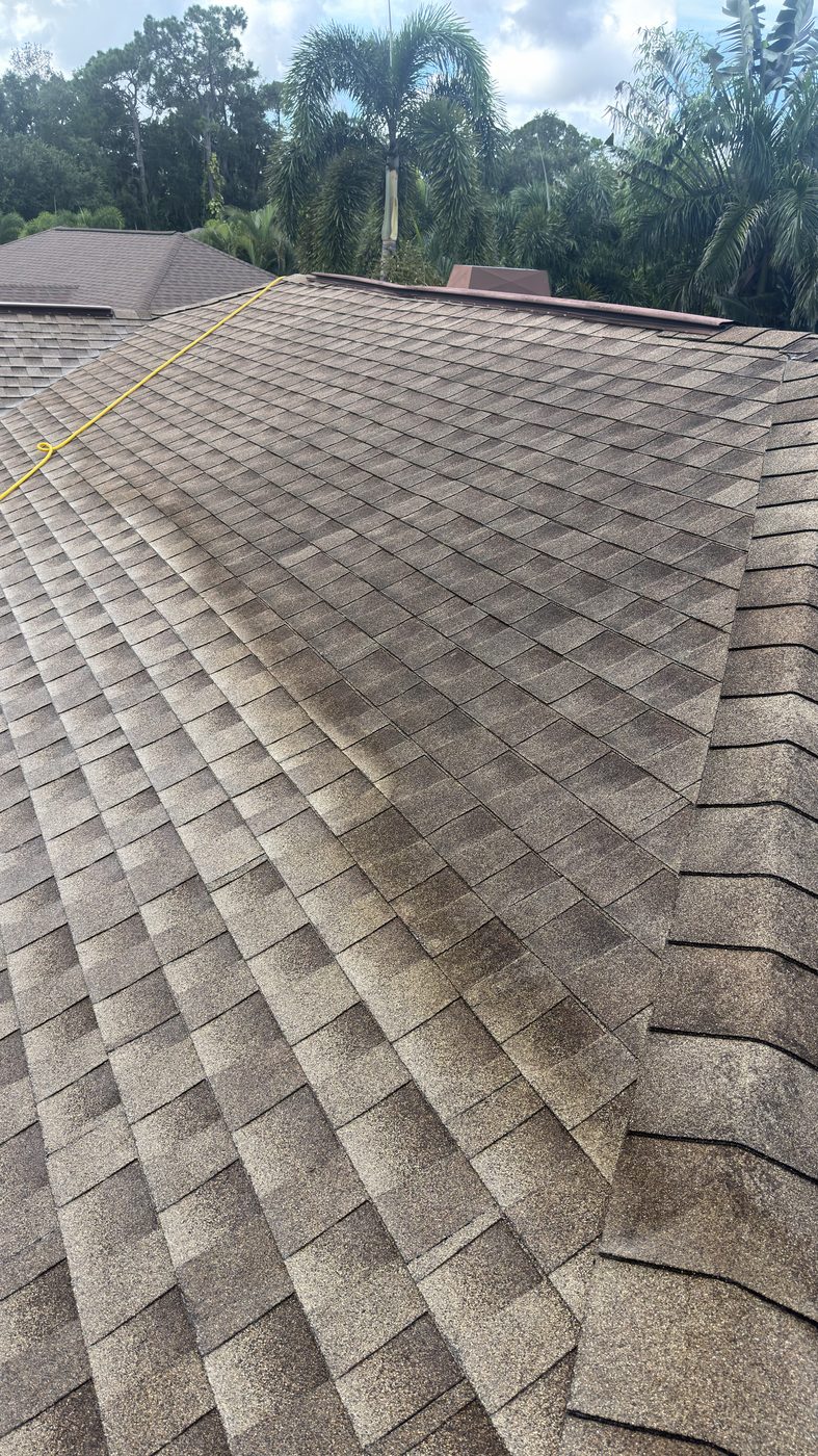 Shingle roof half soft washed, showing a sharp line between the algae-covered and cleaned sections