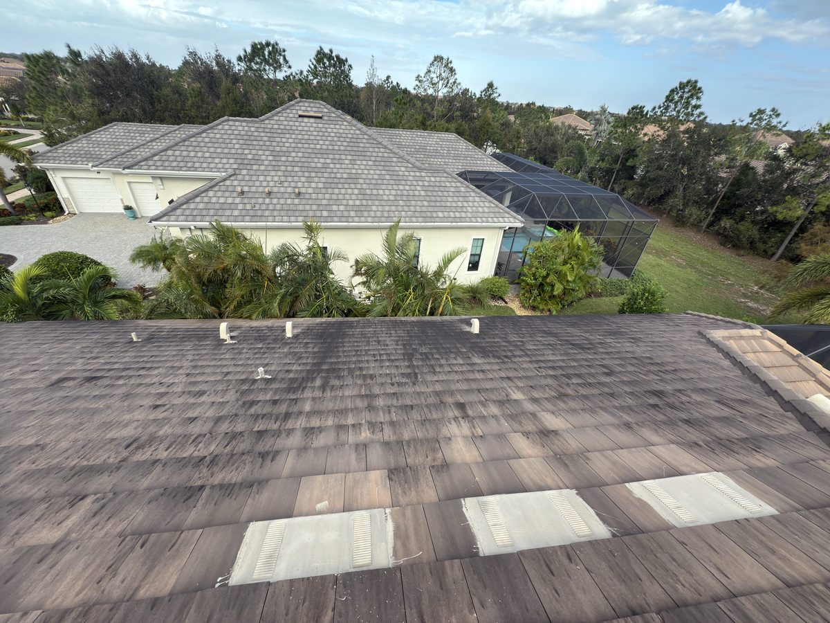 Terracotta tile roof heavily stained with black algae streaking