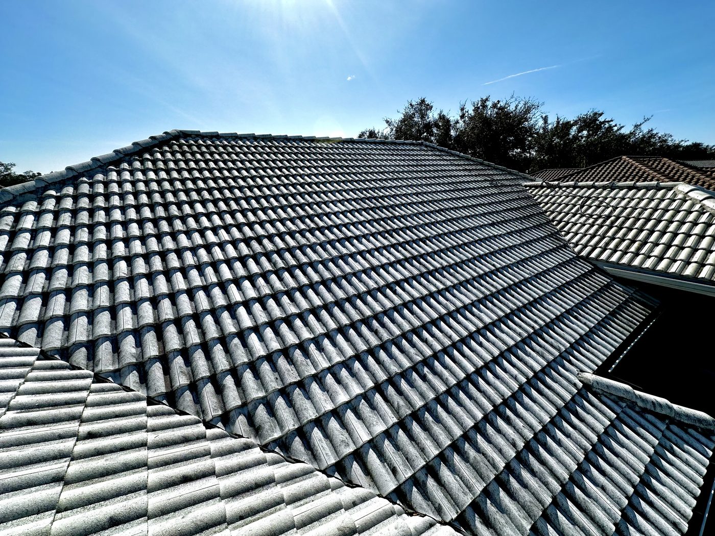 White tile roof before soft washing, discolored gray by algae growth