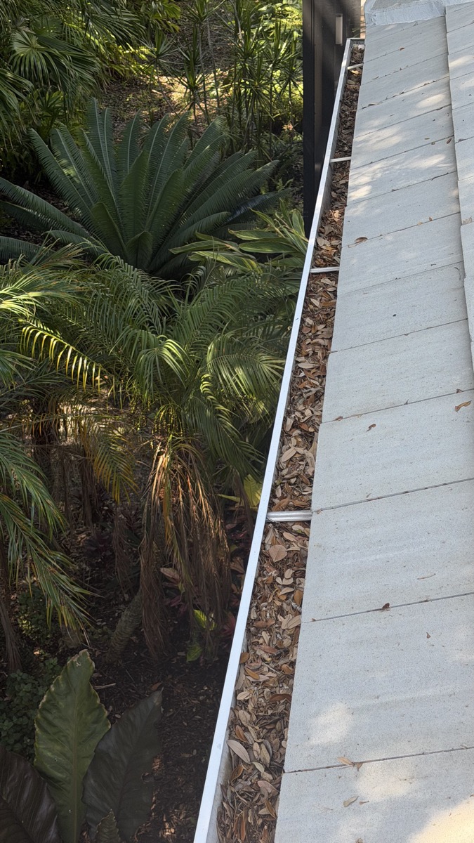 Gutter packed with dead leaves and debris along a roofline