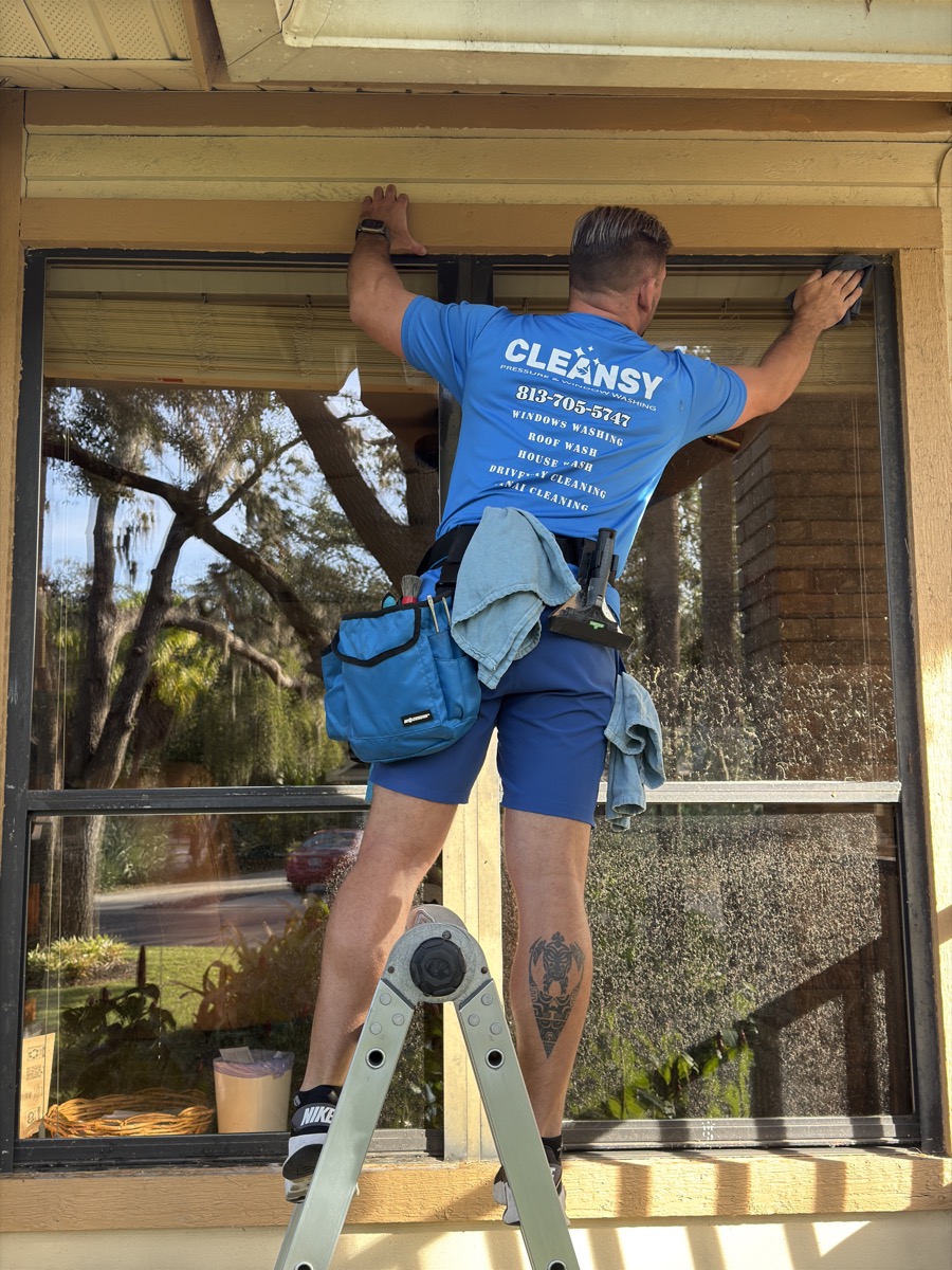 Cleansy technician detailing a window frame and track from a ladder