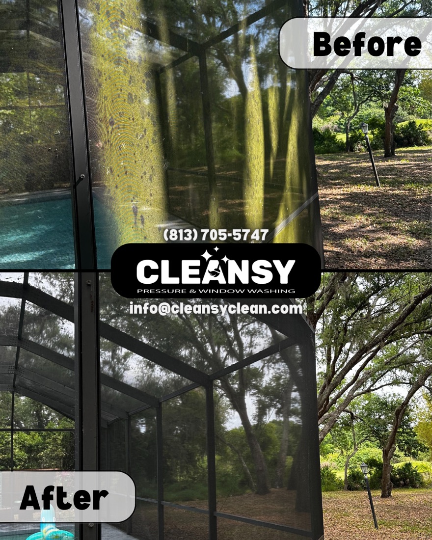 Before and after Abigail Lanai Screen — Cleansy Pressure & Window Washing