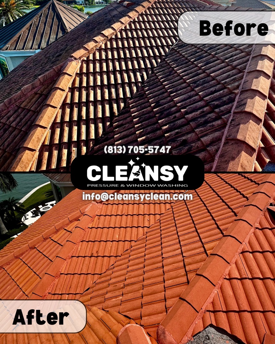 Before and after April Roof 2 — Cleansy Pressure & Window Washing