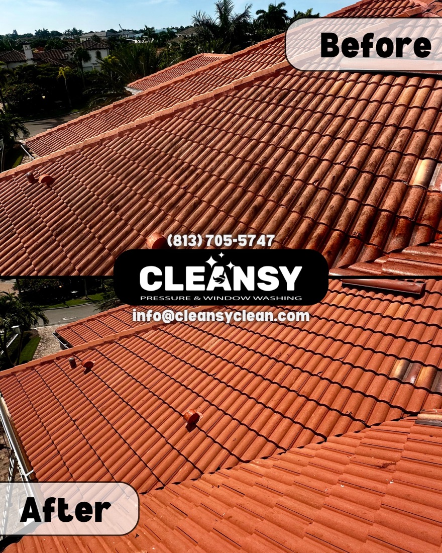 Before and after April Roof — Cleansy Pressure & Window Washing
