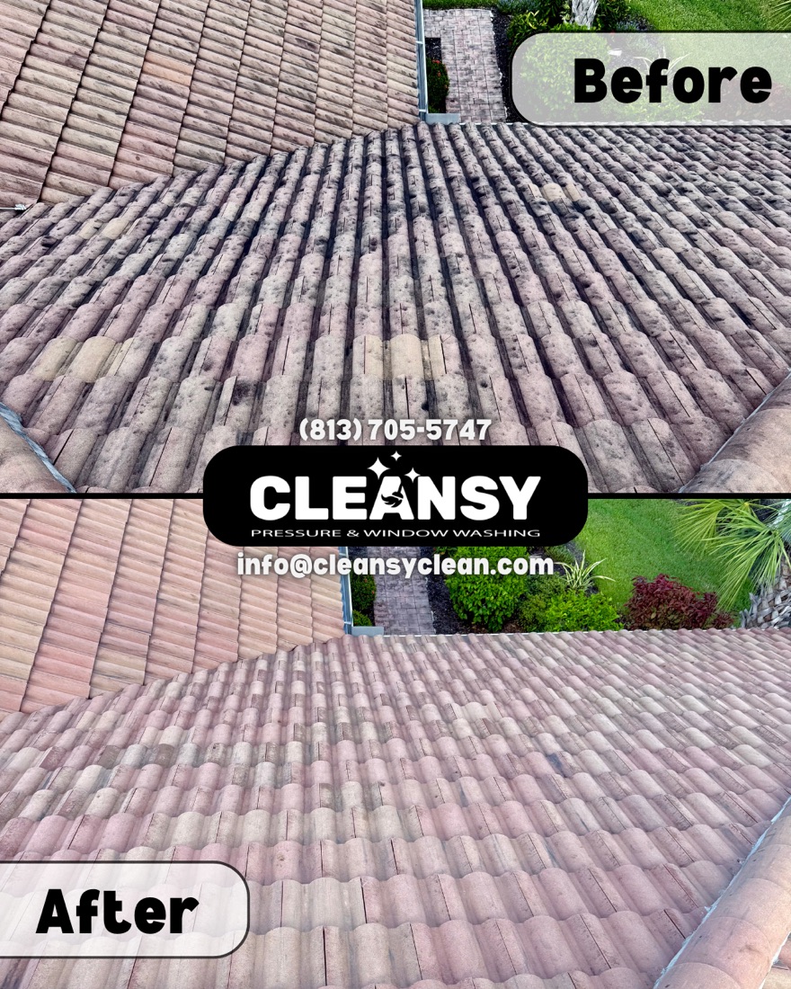 Before and after Karesz ROOF 3 — Cleansy Pressure & Window Washing