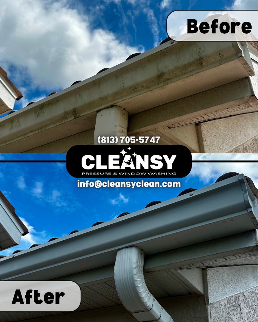 Before and after Larry Holub Gutter — Cleansy Pressure & Window Washing