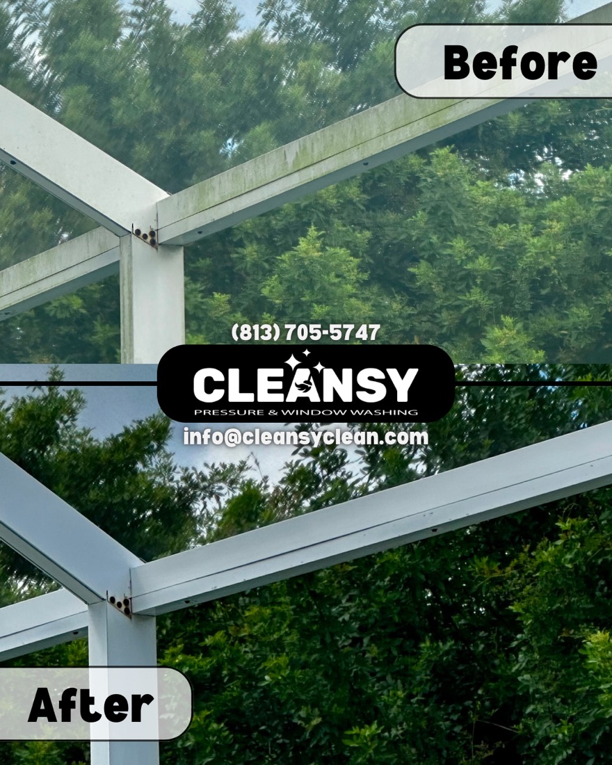 Before and after Larry Holub Pool Cage — Cleansy Pressure & Window Washing