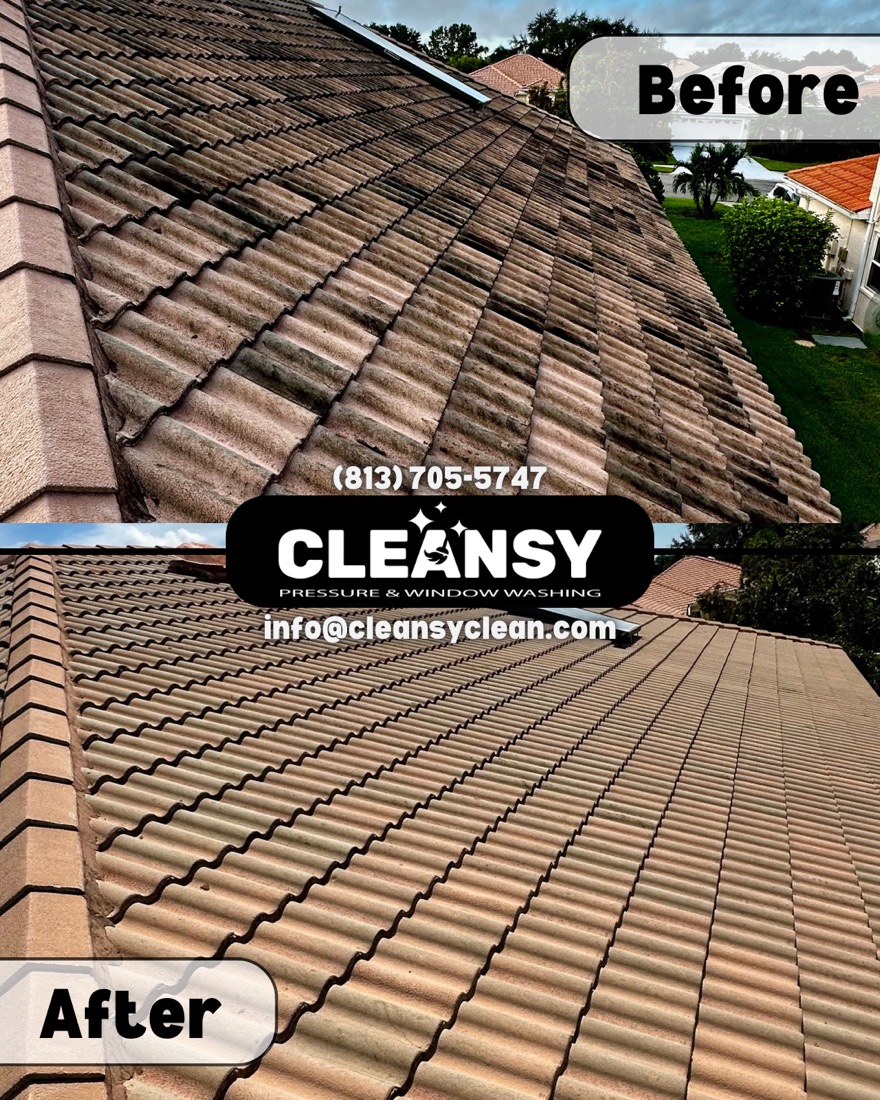 Before and after Larry Holub Roof2 — Cleansy Pressure & Window Washing