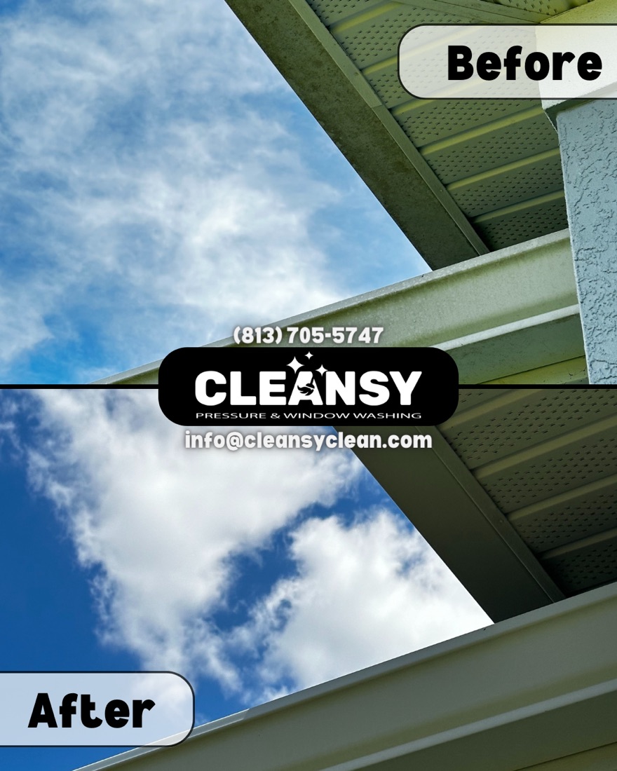 Before and after Realtor Gutter — Cleansy Pressure & Window Washing