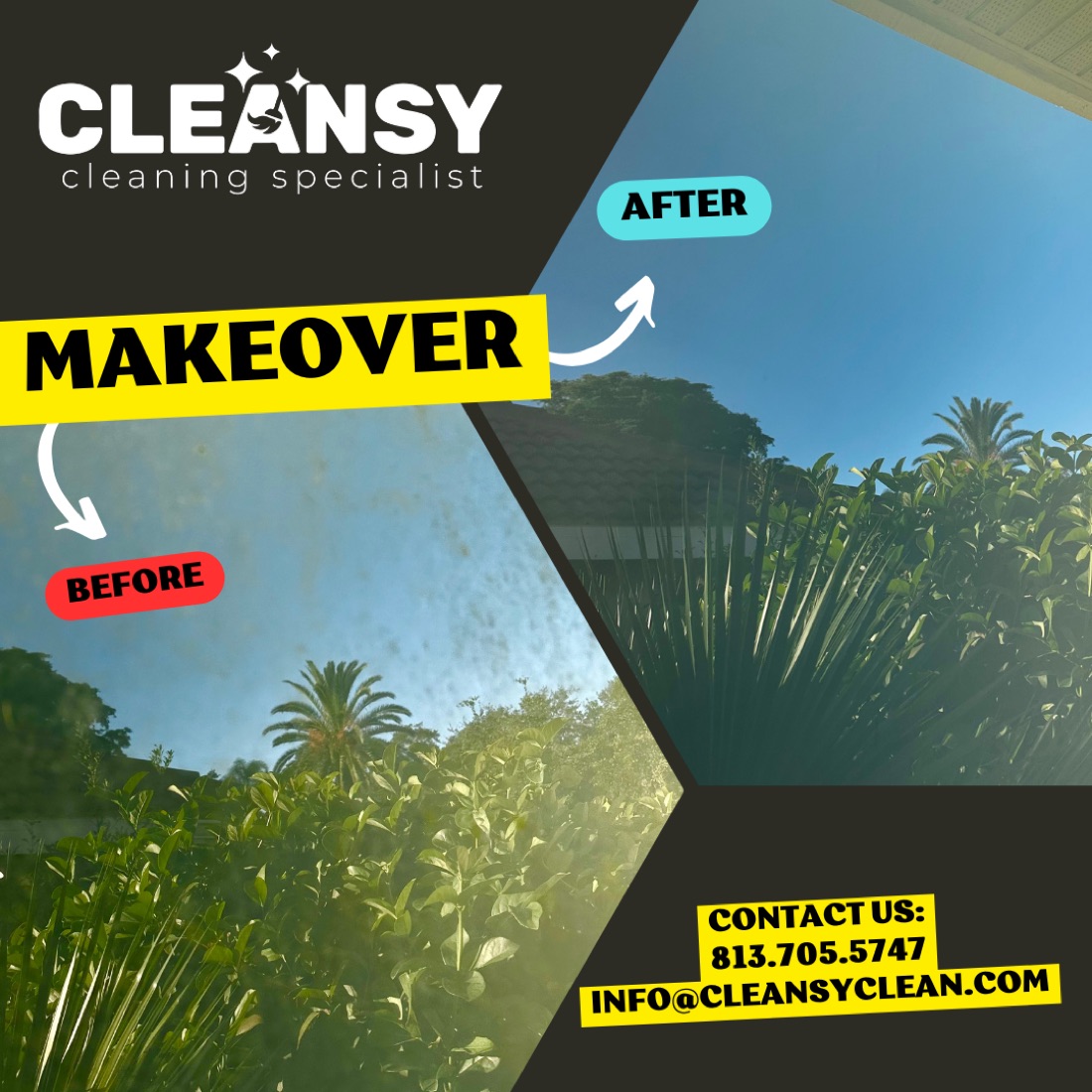 Before and after Windows algae 2 — Cleansy Pressure & Window Washing