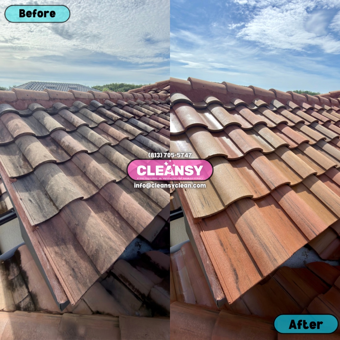 Before and after Karcsi tetomosas 1 — Cleansy Pressure & Window Washing